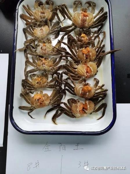 唐山餐饮可以开门了吗