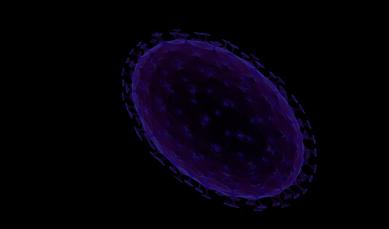 揭秘生命的微观世界，分子细胞生物学报深度解析与探索