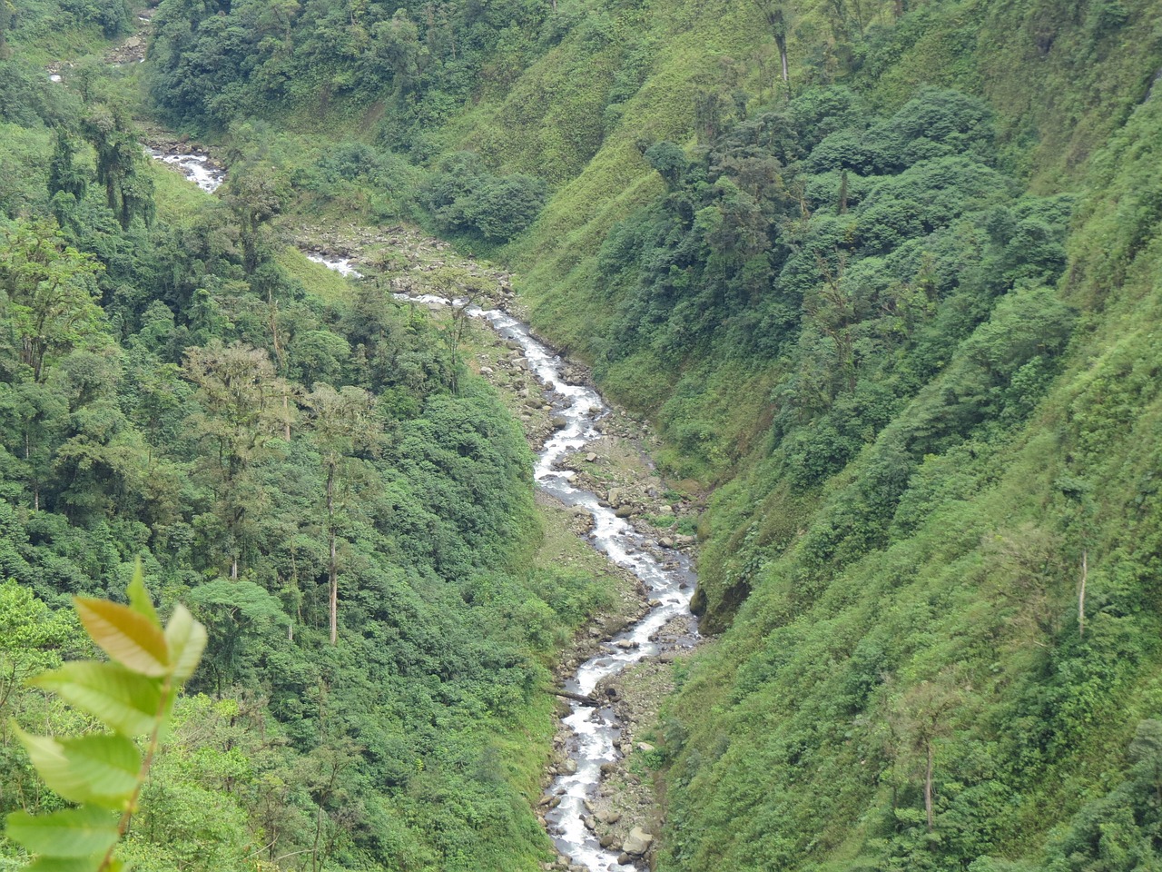 哀牢山存在大地磁场强度异常，揭秘自然之谜与生态影响