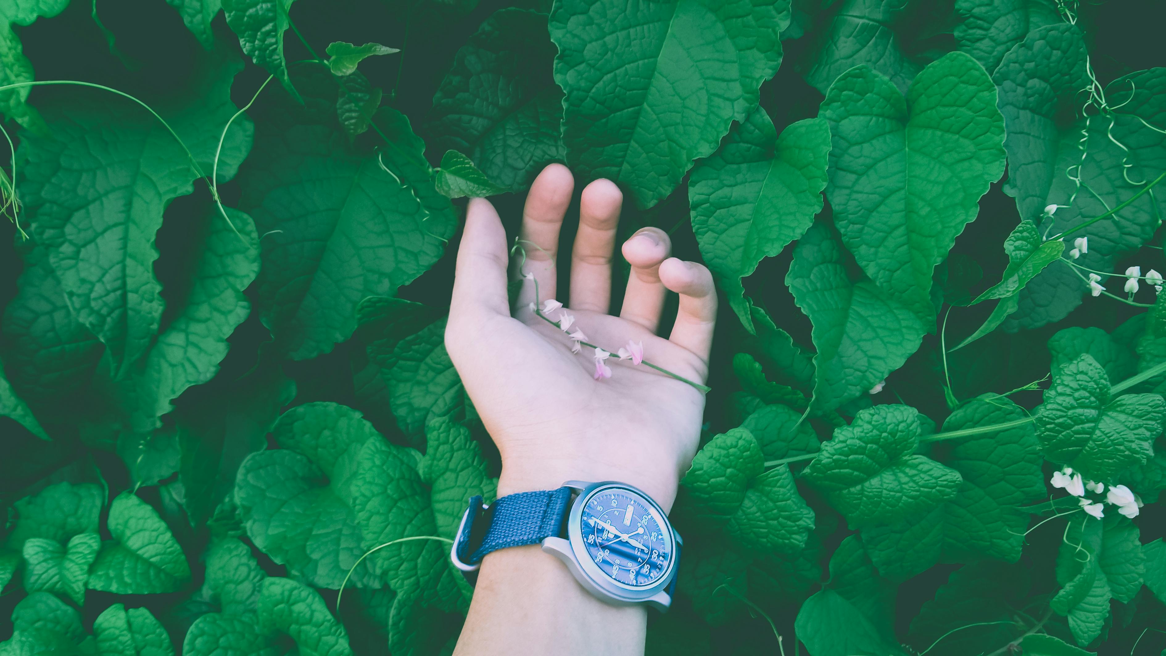 女子摔倒后成植物人，鲨鱼夹引发争议，安全意识的缺失与公众健康的警醒