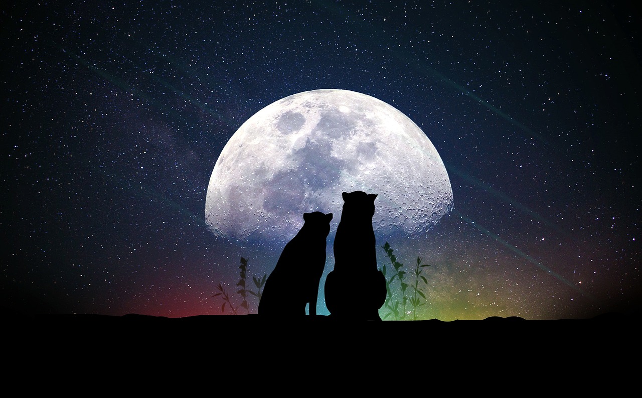 浪漫星球上的游戏情缘，那些专属情侣昵称，让虚拟爱情更甜