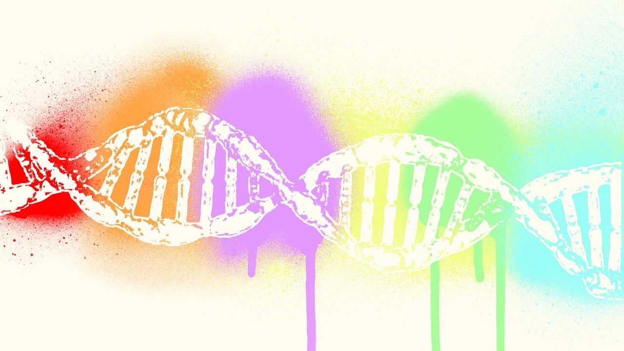 揭秘动物世界，探索生物学皇冠上的璀璨明珠——一部深入解析的动物学论文指南