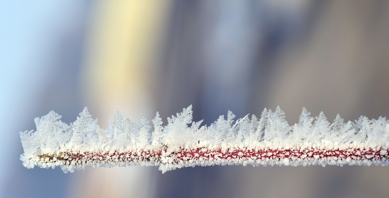 探秘冬之韵律，小雪节气背后的民俗风情与温暖记忆