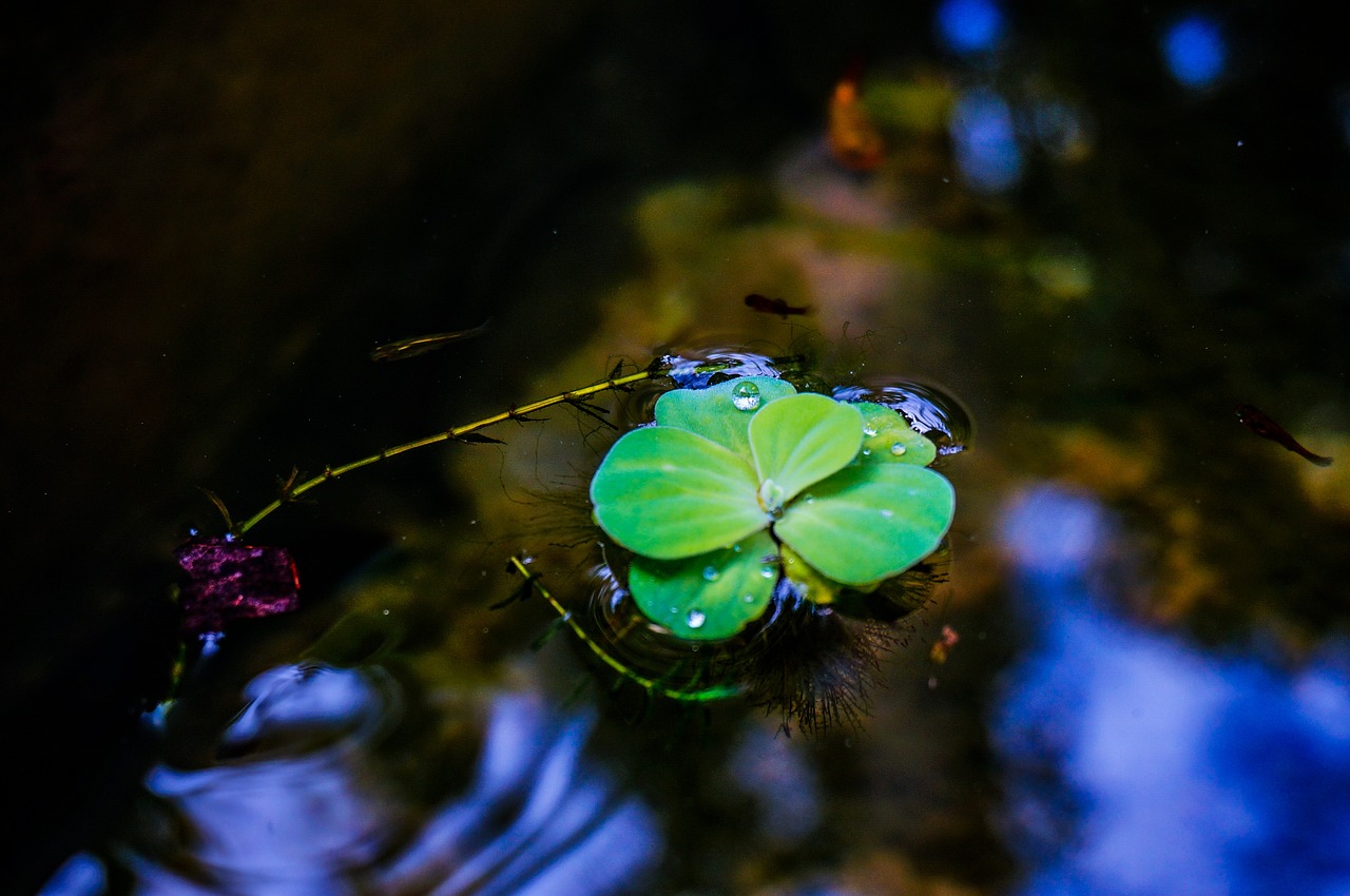 春之赞歌，谷雨的诗意与生活印记