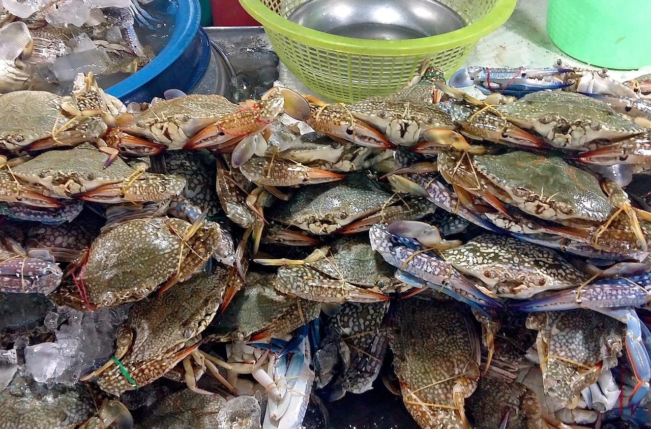 炎炎夏日，五款清爽小暑美食，让你大呼过瘾！