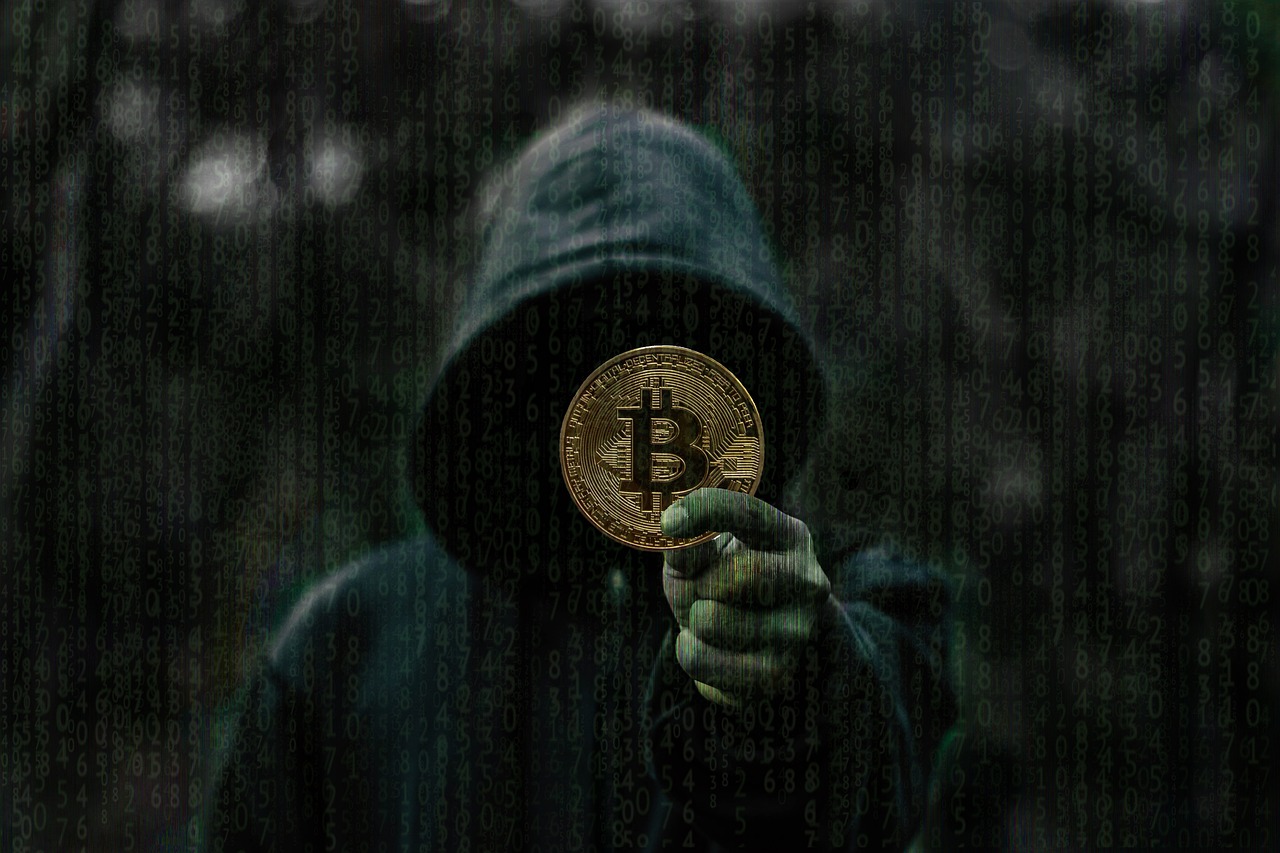 揭秘传奇密码，家族名中的荣耀与影响力