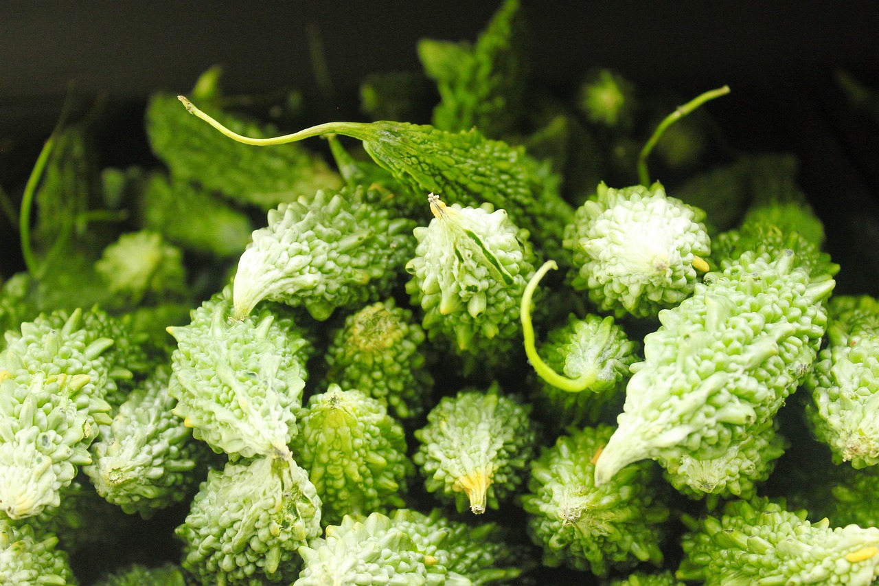 端午佳节，艾草的深厚传统与健康守护
