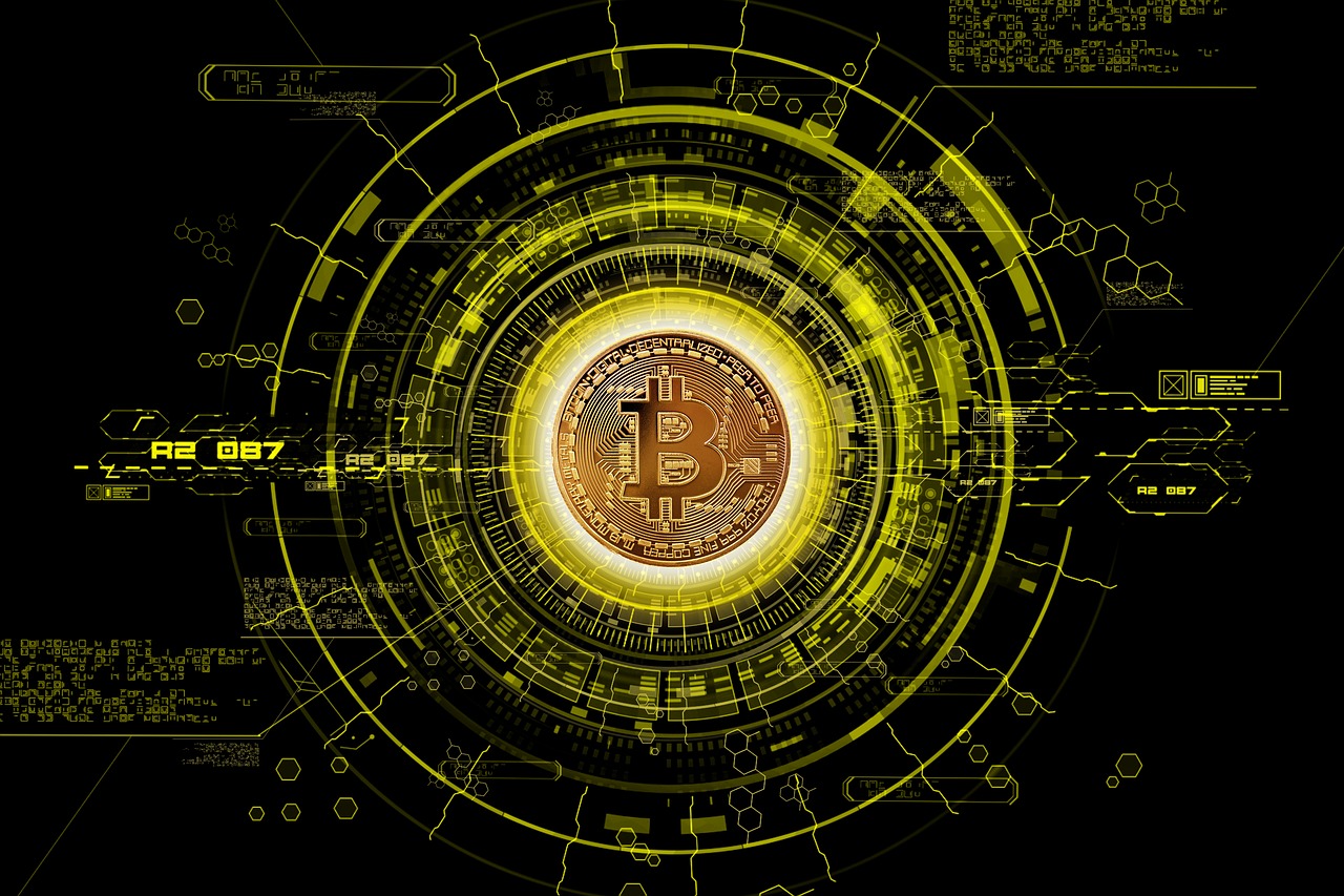 南征北战，揭秘你的独特生肖密码与勇猛象征