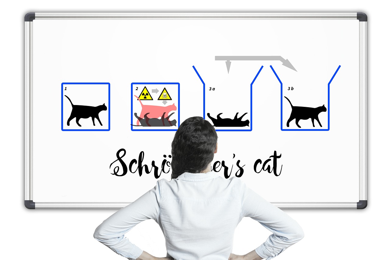 薛定谔的猫与捂脸，量子世界的幽默与哲学
