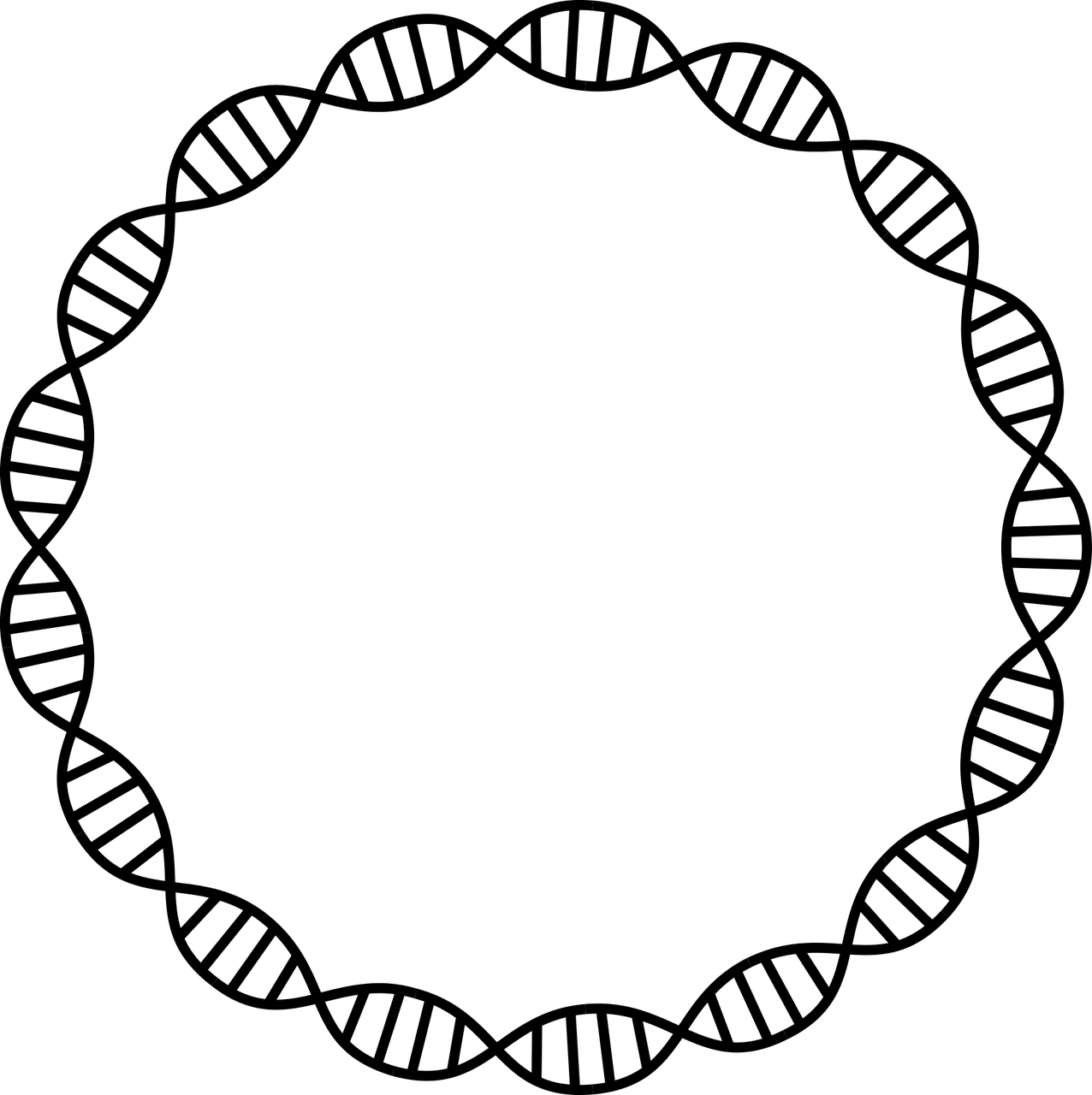 呼和浩特疫情防控最新动态，科学应对，共筑健康防线