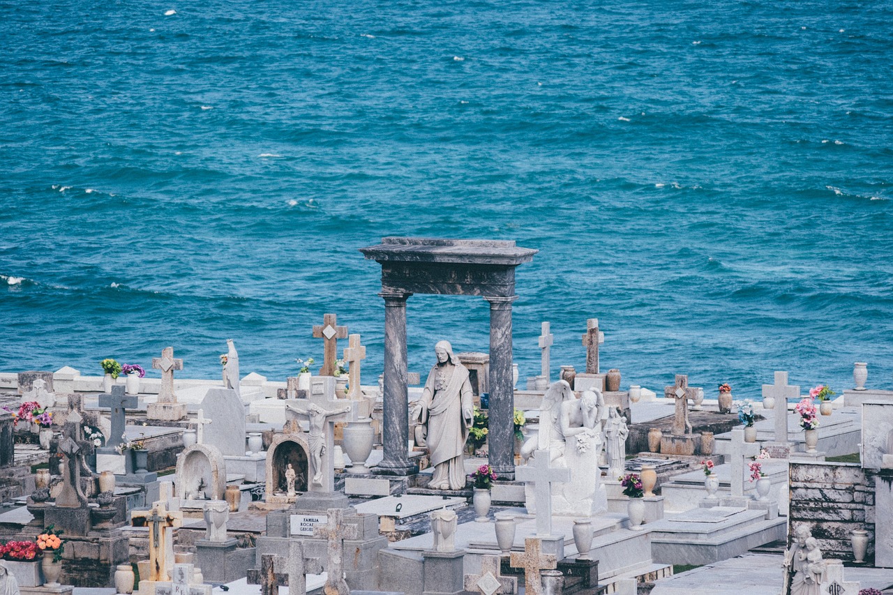 上海疫情新挑战，本土死亡病例增加，我们如何共同应对？