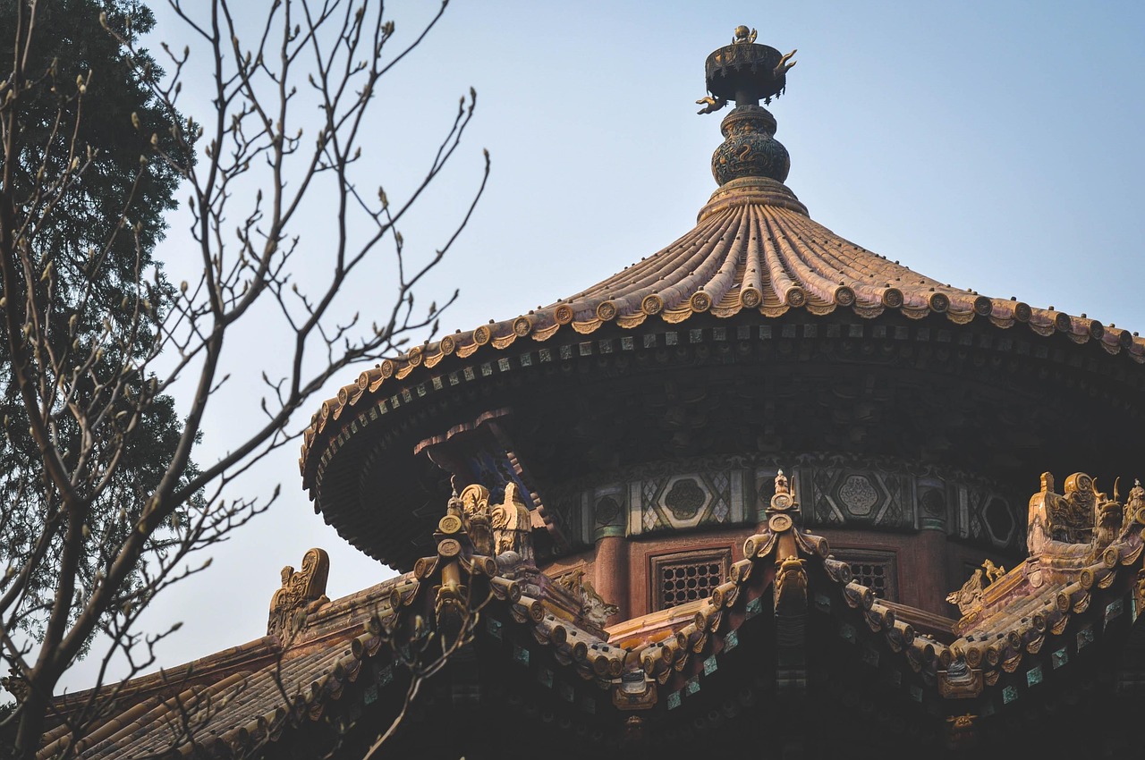 中国传统文化100集，探索华夏文明的瑰宝