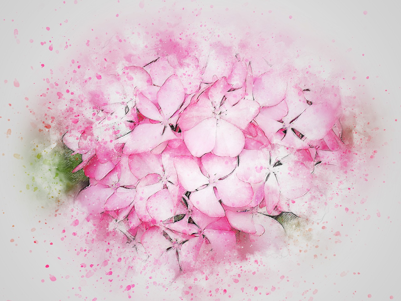 与花共语，探索花语的艺术与生活之美