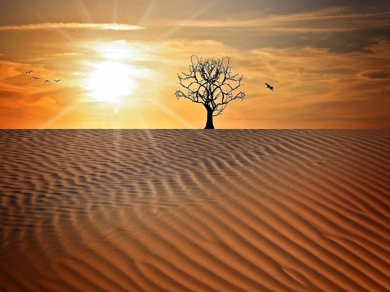 人生风景，心情的画布