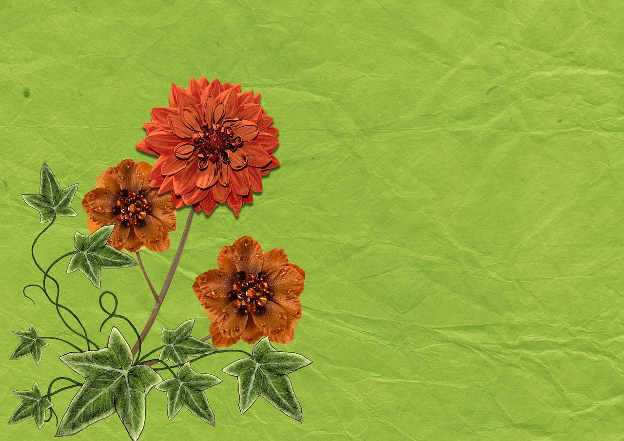 花与画，探索简笔画中的花卉世界
