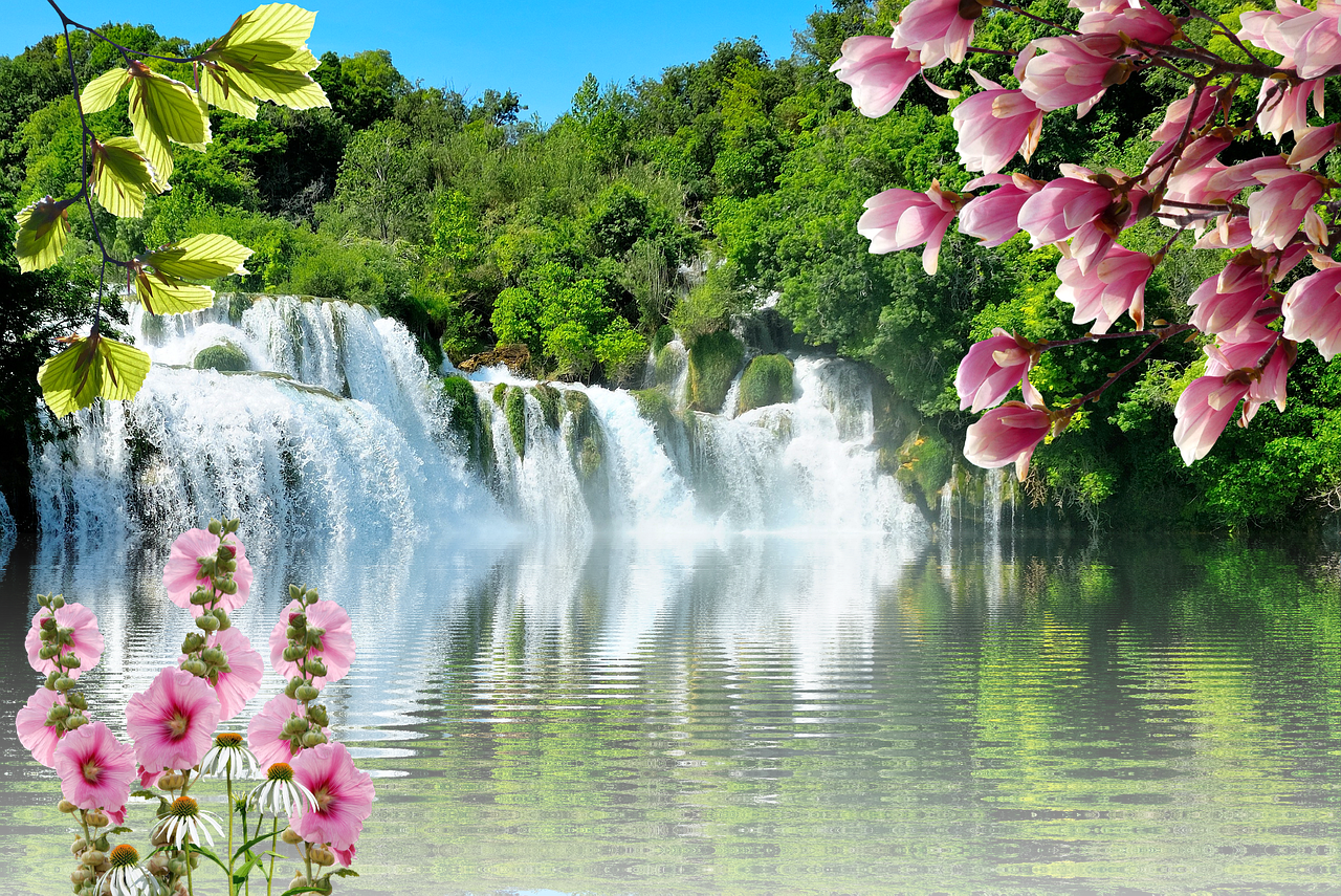 花语绘心景，探索唯美花语图片大全与自然风光的和谐共鸣