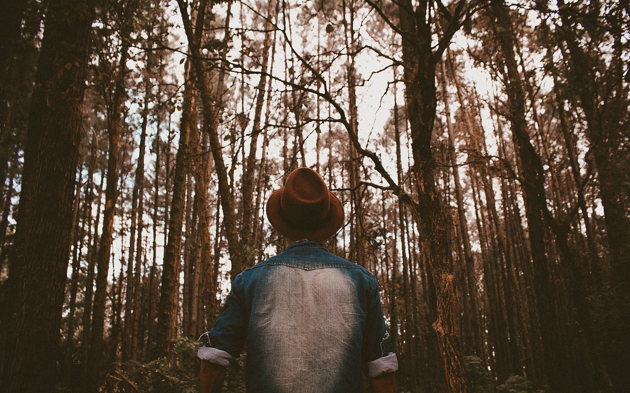 岁月的智慧，中老年人的人生感悟