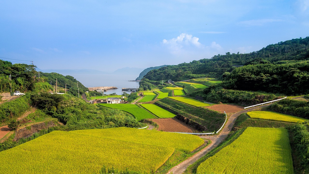 乡村振兴千万工程，激活乡村活力，共筑繁荣未来