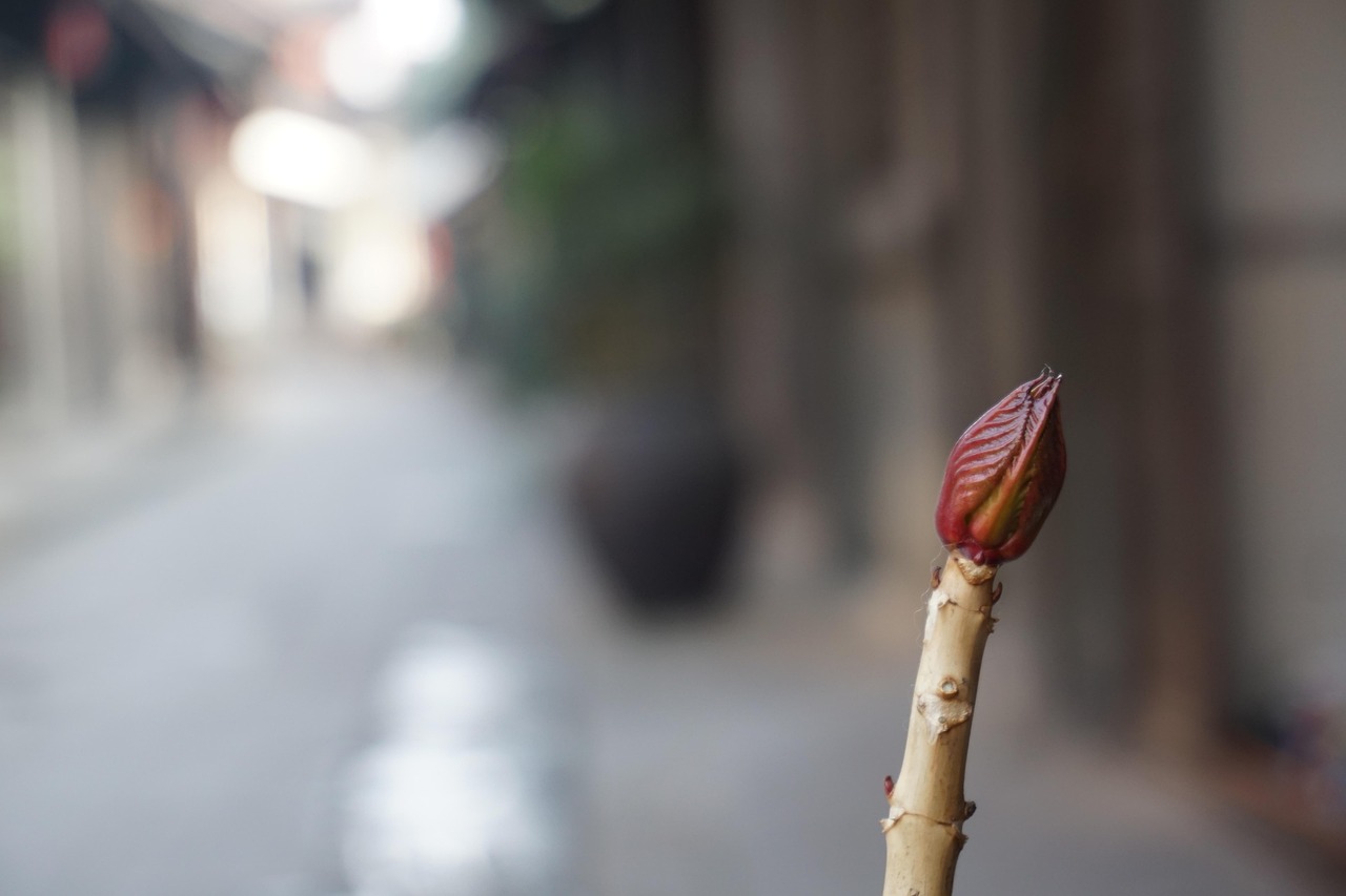 在风雨中前行，生活不易的励志句子，照亮前行的路