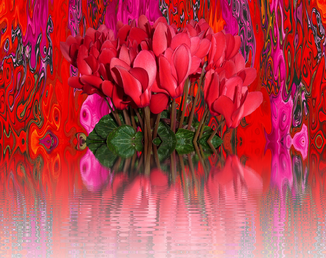 探索花语世界，花和花语图片大全大图可爱