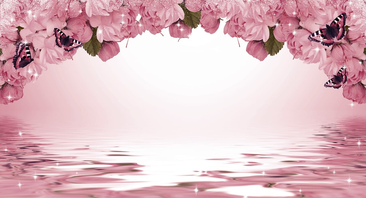 花语的魅力，探索不同花卉及其花语的奥秘