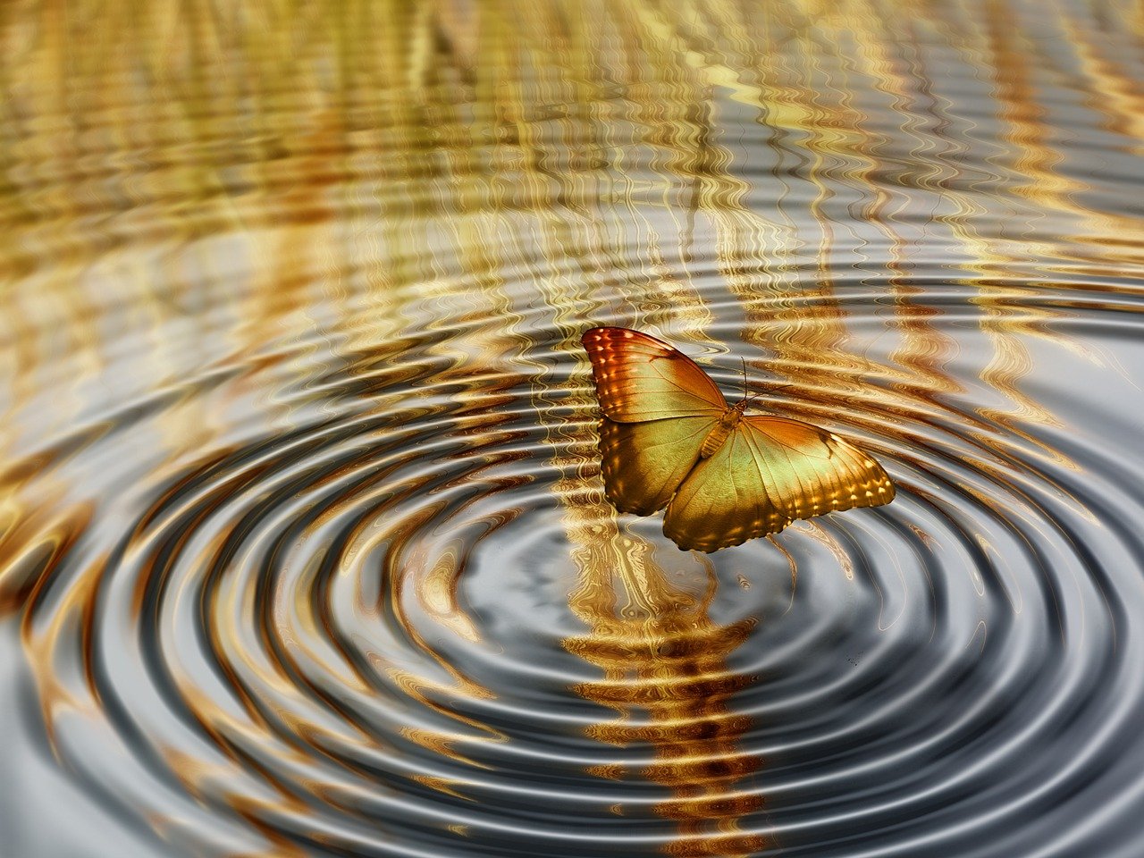 探索生活的万花筒，理解生活百般滋味的深刻内涵